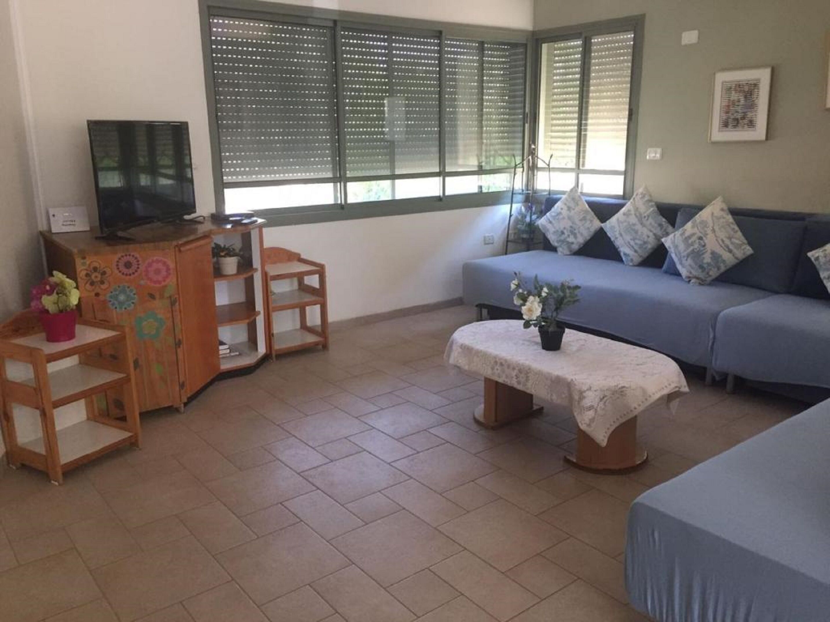 A living room with a sofa, a television, a small table with a plant, and a cabinet with decorative patterns.
