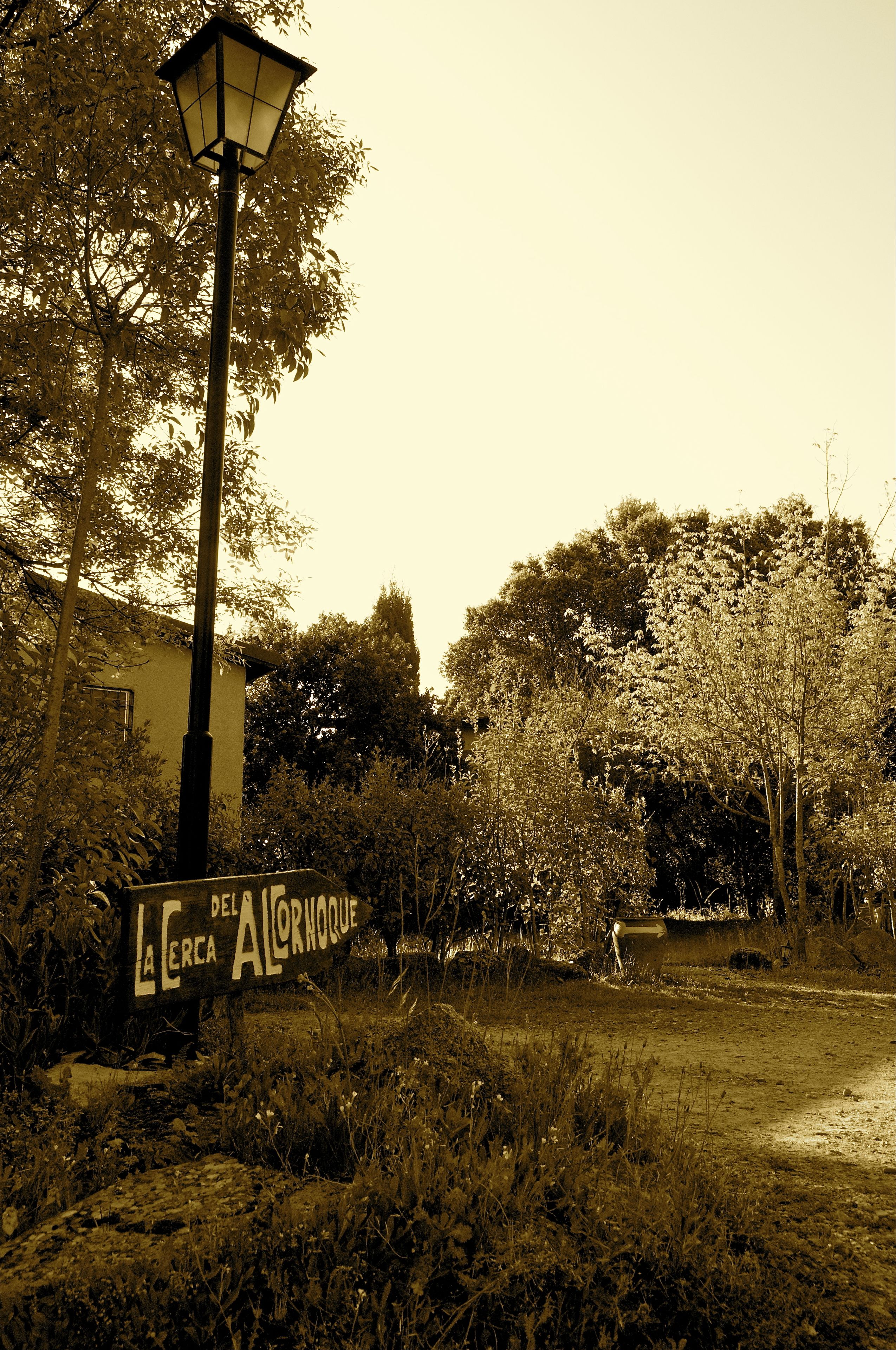 Foto - La Cerca Del Alcornoque