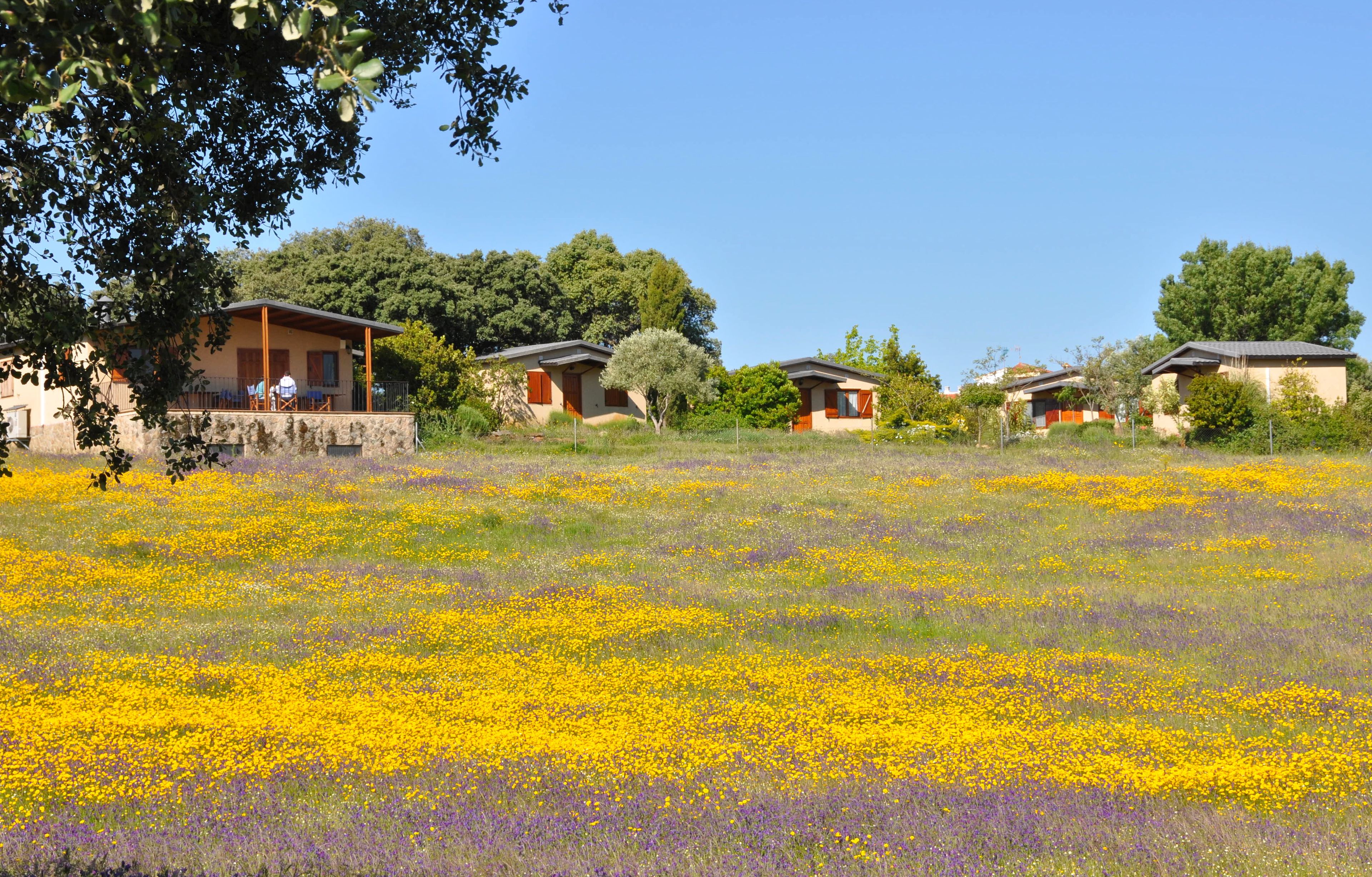 Jardines del alojamiento