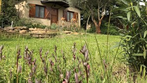 A house with a sloped roof, surrounded by a garden with various plants and a stone wall.
