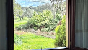 A window with a view of a garden with trees and grass.