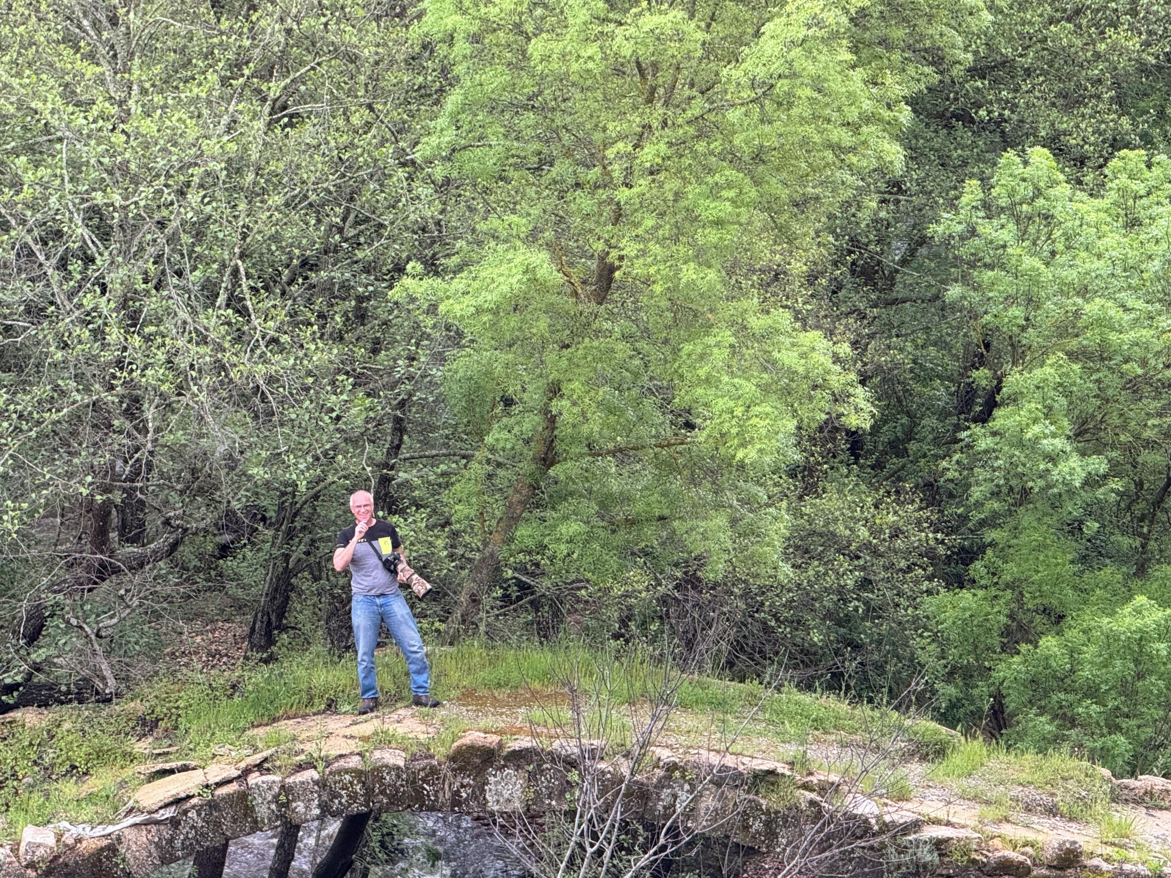Foto - La Cerca Del Alcornoque