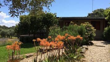 Un edificio con techo de tejas, rodeado de un jardín con diversas plantas y un camino de grava.