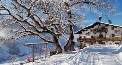 Bauernhof Lohningbauer
