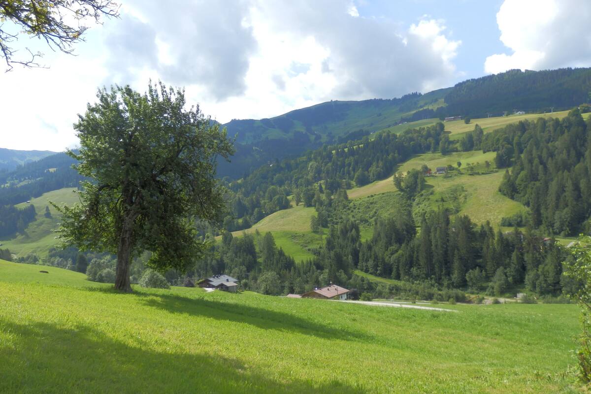 Vue depuis le balcon