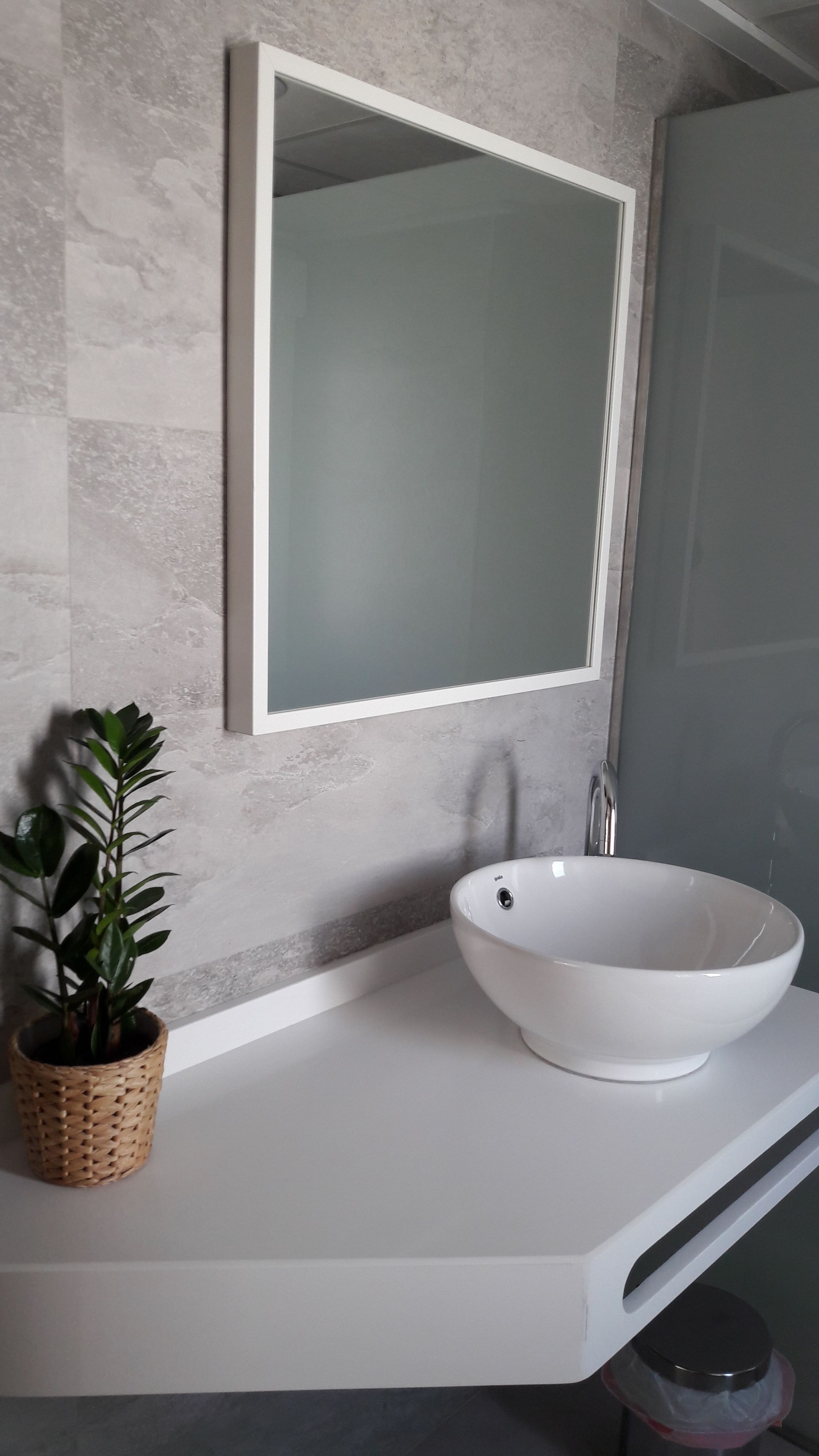 A bathroom with a white sink, a mirror, and a potted plant.