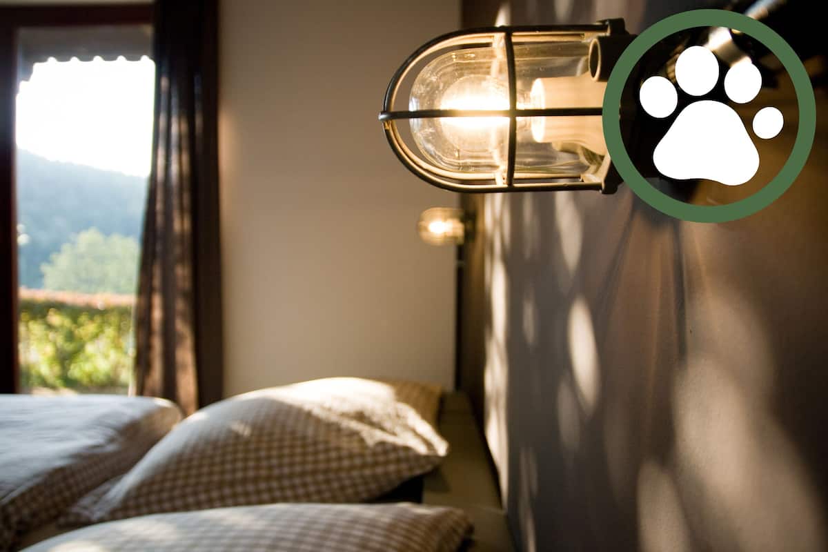 Équipements de la chambre