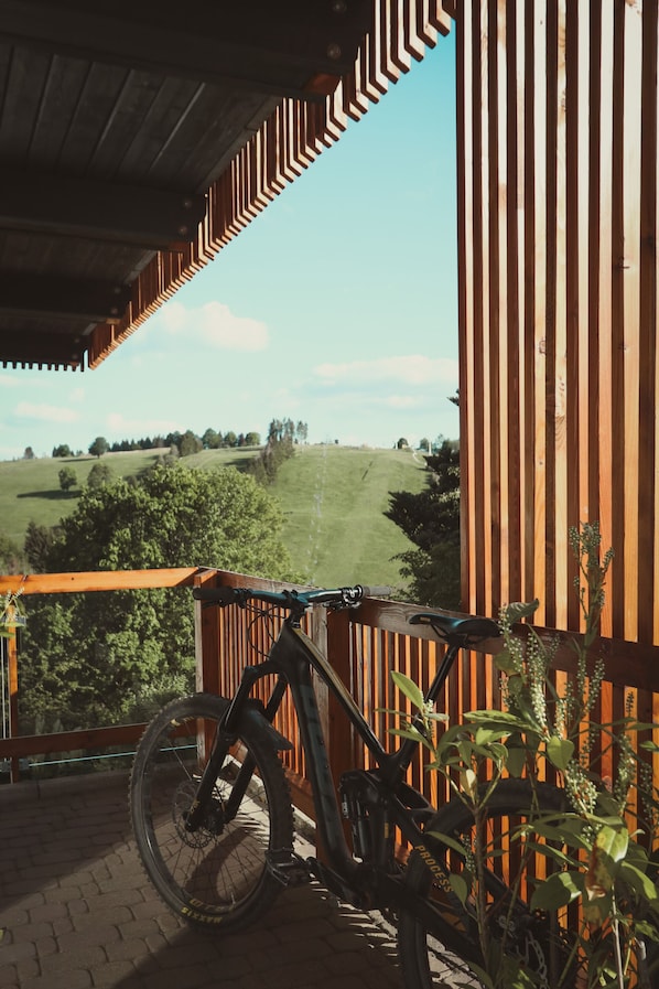 Driepersoonskamer, privébadkamer ( #6 - Waldetage) | Terras