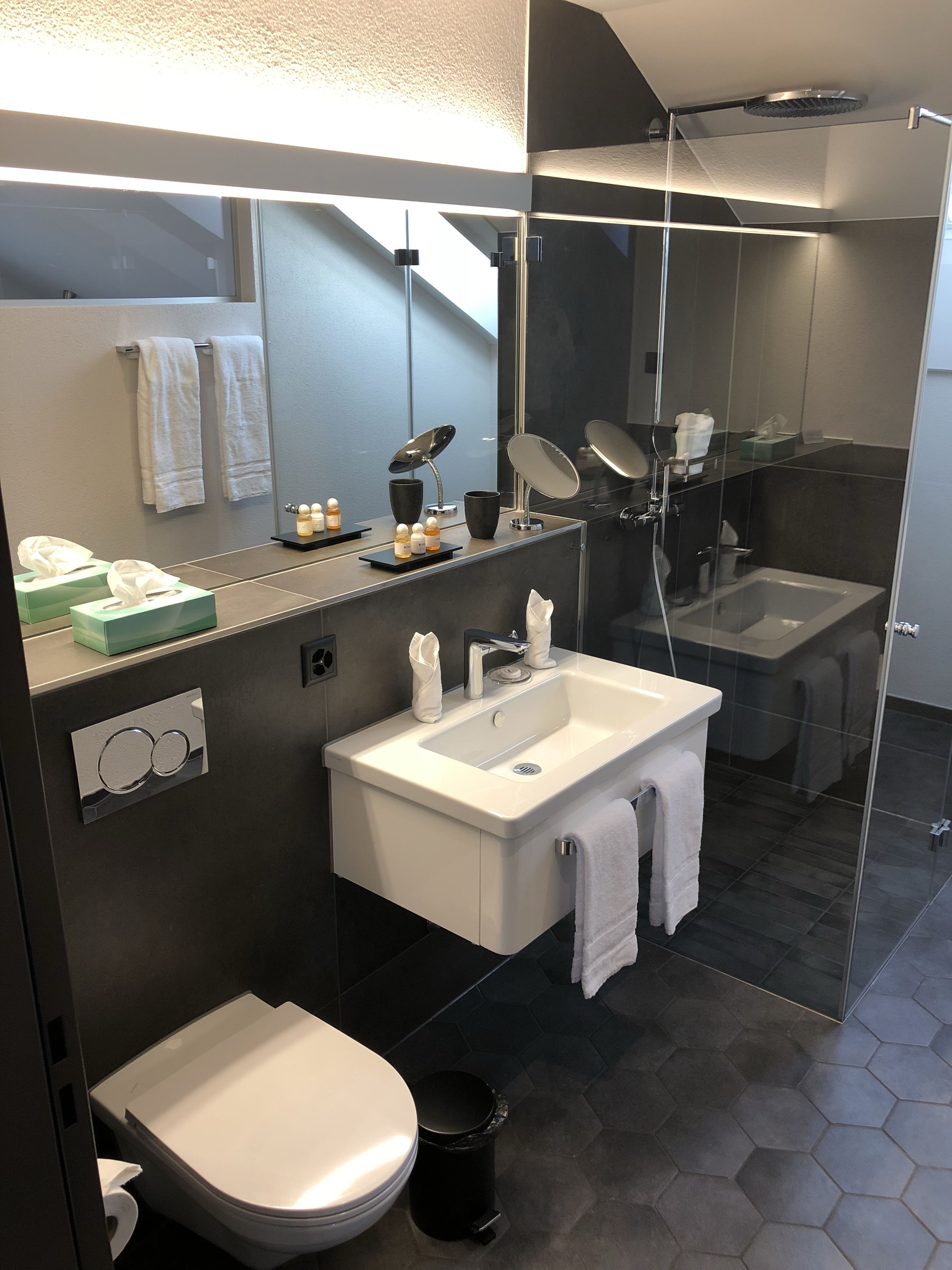suite | bathroom | shower, rainfall showerhead, free toiletries, hair dryer