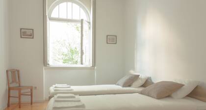 Carolina M Apartment