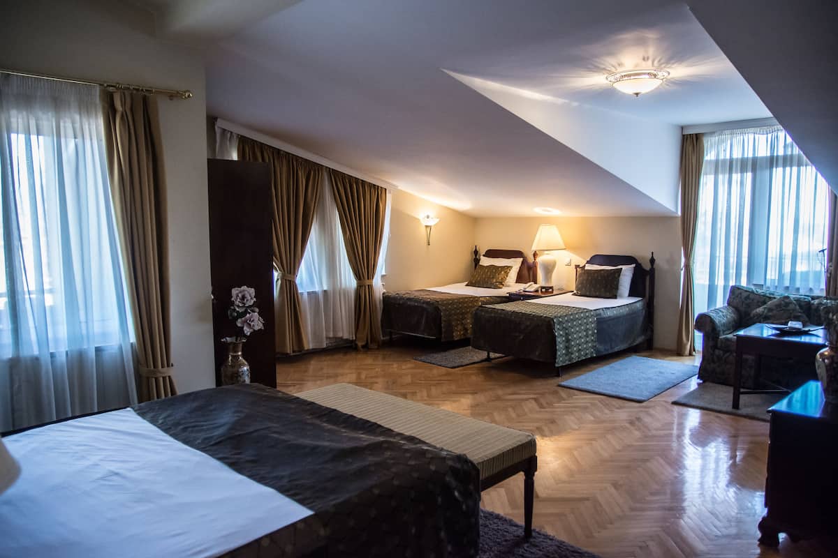 Premium Studio, Balcony, Mountain View