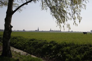 Deluxe Room, 2 Twin Beds | View from room