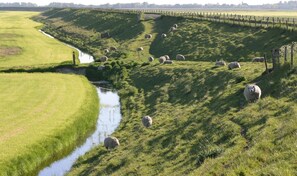 Terrain de l’hébergement 