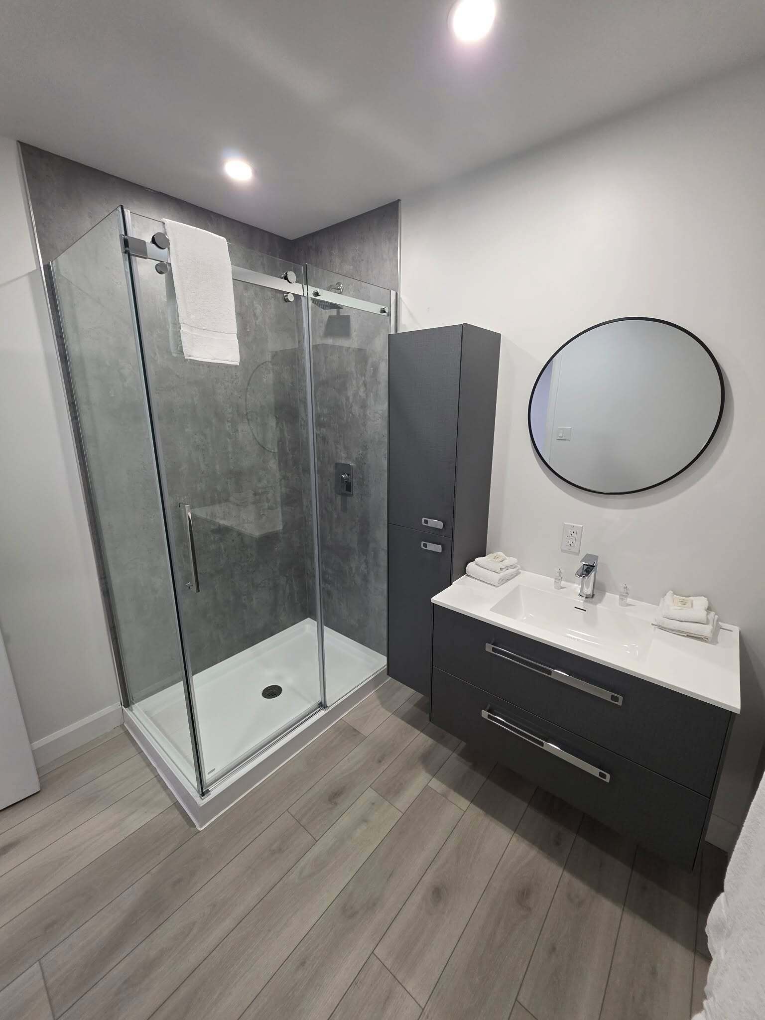 A modern bathroom with a glass shower enclosure, a vanity with a mirror, and a dark cabinet.