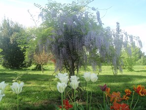 View from property - Domaine Mongiron (Nerigean)