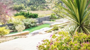 Ein Garten mit verschiedenen Pflanzen und einem Weg.