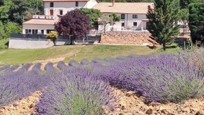 Ein großes Haus mit einer Steinstufen-Treppe, einem Lavendelgarten und einem bewaldeten Hügel im Hintergrund.
