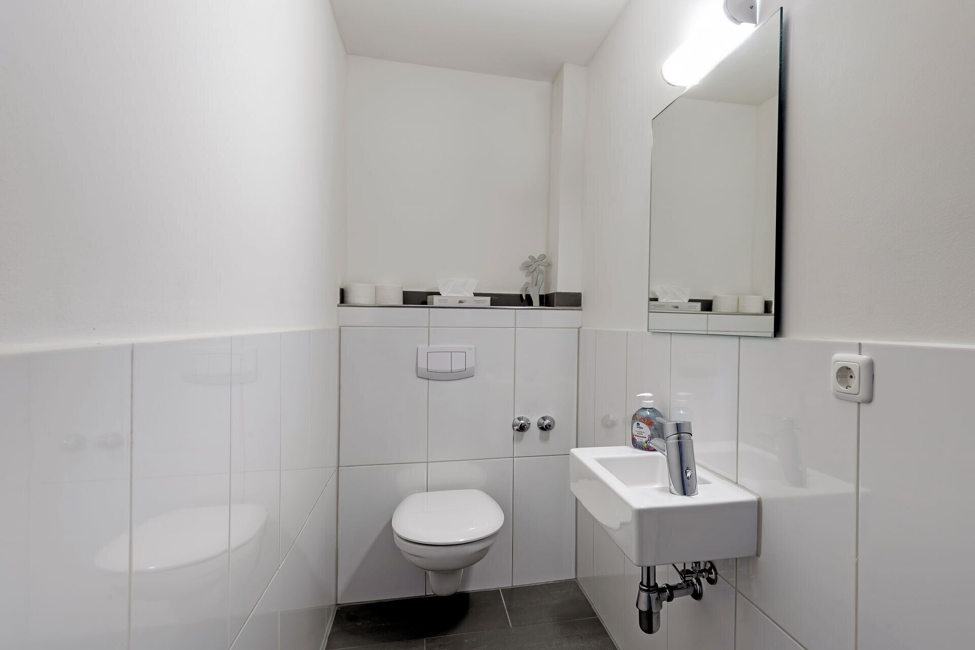 A small, modern bathroom with a toilet, a sink, and a mirror.
