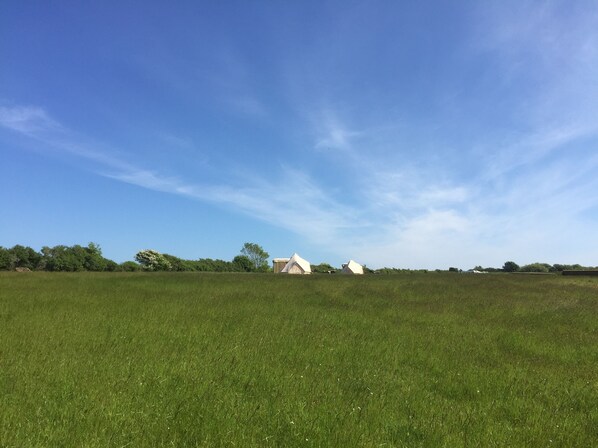 A grassy field with a clear sky and a few buildings in the distance.