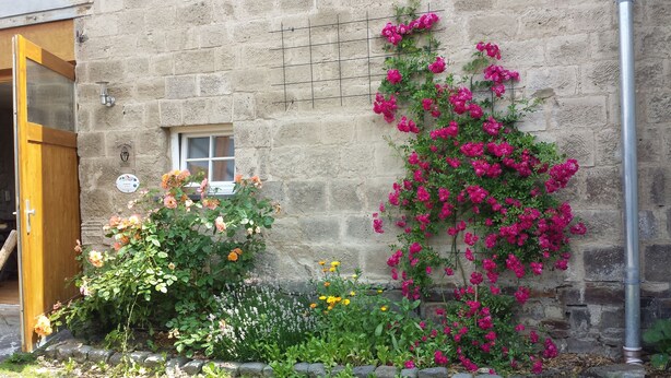 A stone building with a wooden door, a small window, and a garden with various flowers and plants. - Marco's Heuboden (Oberzissen)