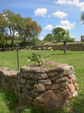 Un muro de piedra con un cactus y flores, rodeado de hierba y árboles.
