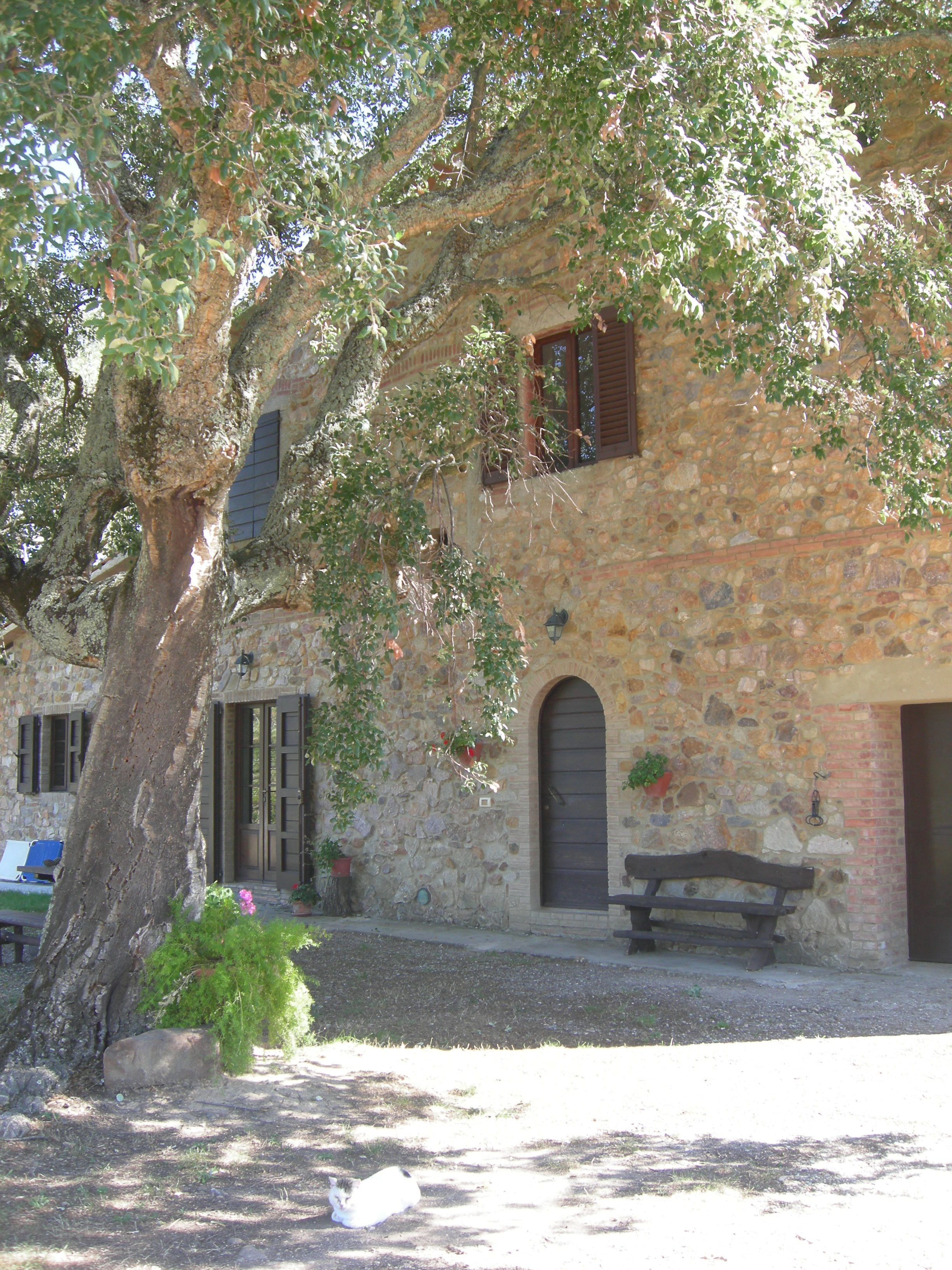 Un bâtiment en pierre avec une porte en bois, un banc et un arbre devant.