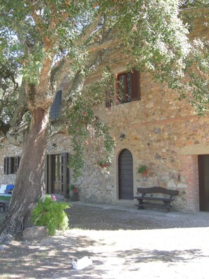 Esterni