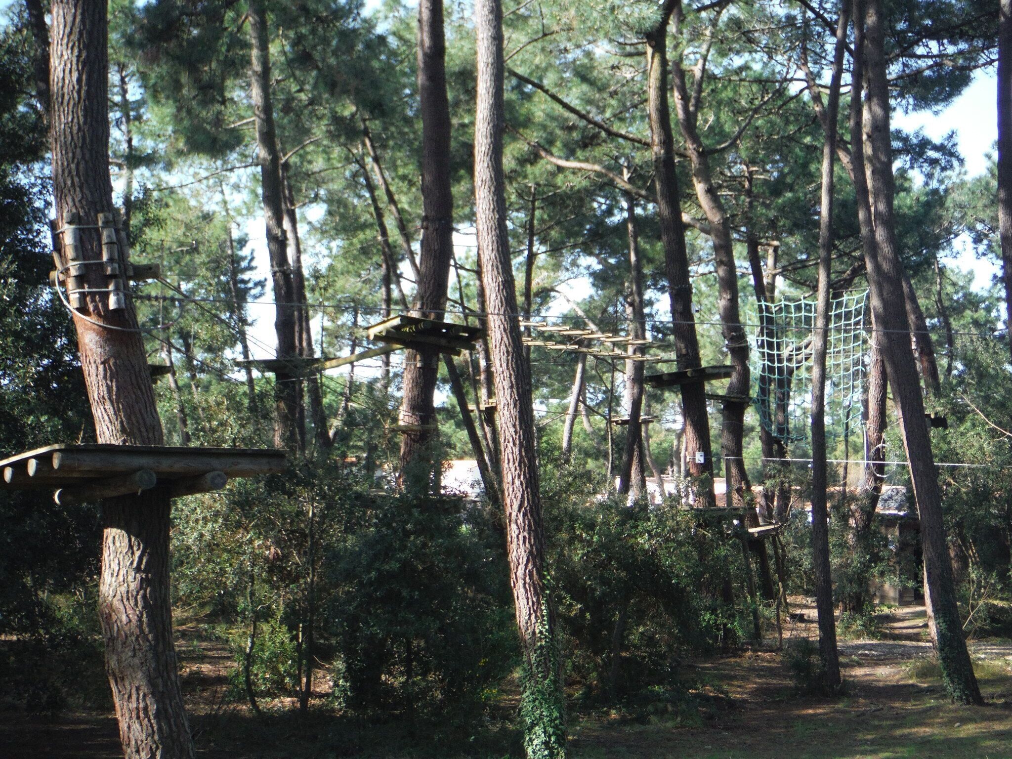 ropes course (team building)