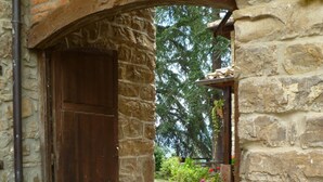 A stone archway leading to a wooden door, surrounded by potted plants and a stone wall. - Casa Reda - Posada de Viñón (Cillorigo de Liebana)