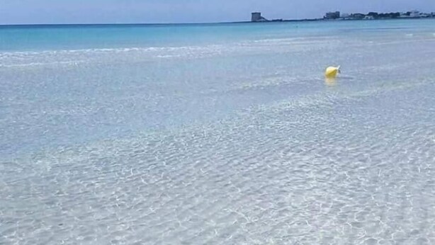 Une plage dégagée, avec une eau peu profonde et une structure visible au loin, à l’horizon.
