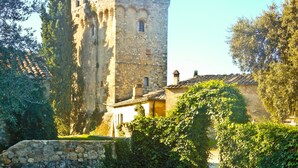 Una piscina con un castillo al fondo.