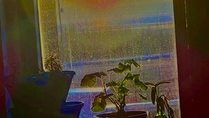 Ein Zimmer mit großem Fenster, einem Blumentopf und Blick auf den Sonnenuntergang.