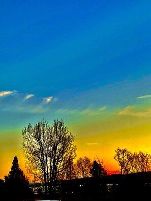 A silhouette of leafless trees against a sunset sky.
