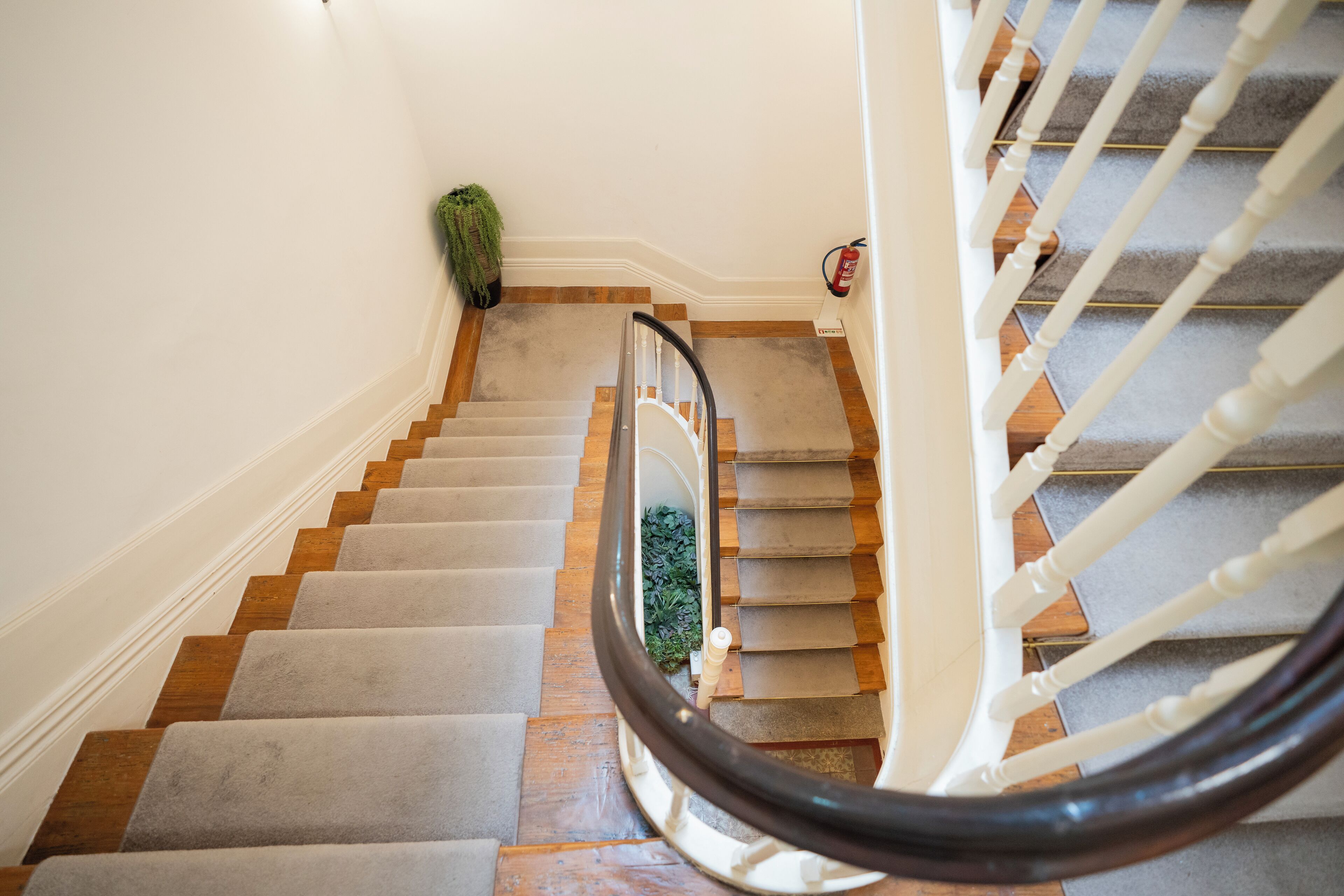 Foto - Turista Da Trindade