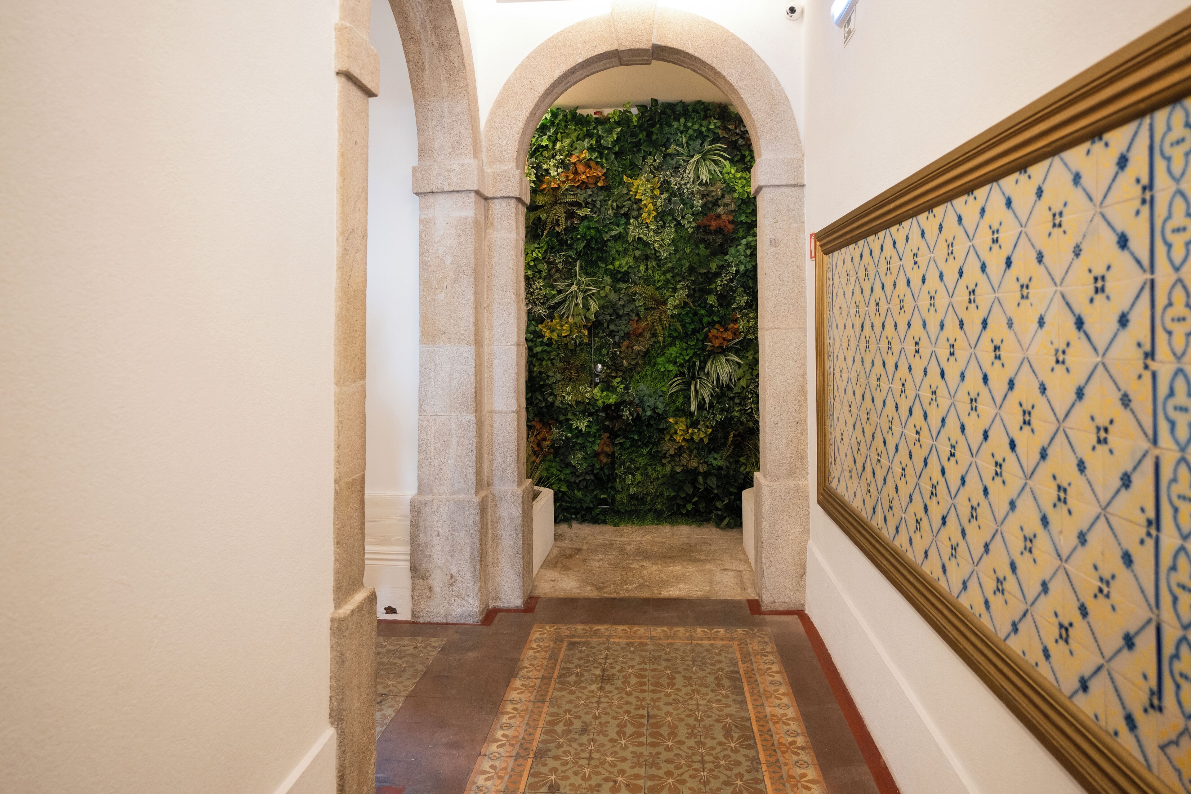 Foto - Turista Da Trindade