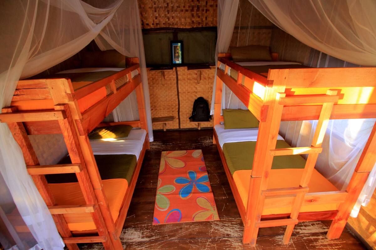 Economy Cabin