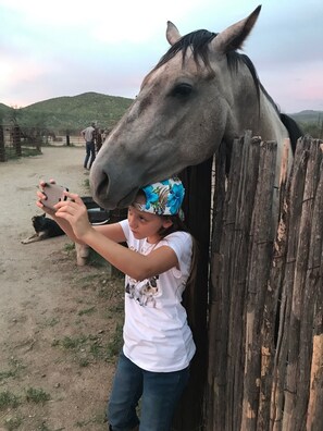 Hiking - Double R Guest Ranch (Elgin)