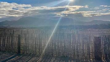 Majoituspaikan julkisivu