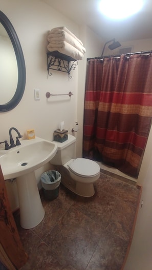 Family Cabin, Mountain View | Bathroom | Hair dryer, towels, soap, shampoo - Double R Guest Ranch (Elgin)