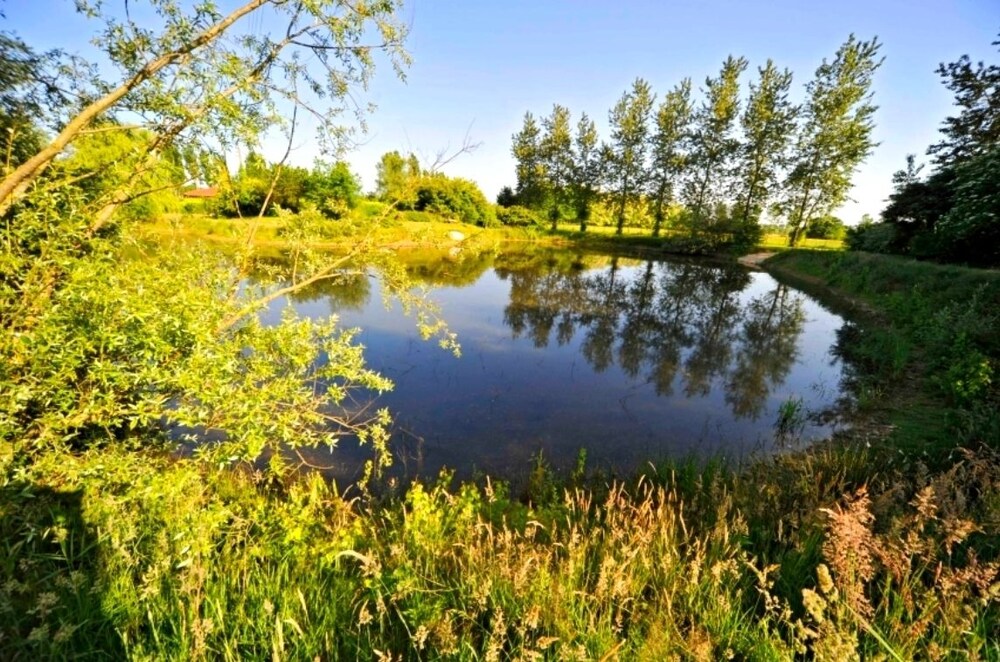 Domaine de La Bellière - Chambres d'Hôtes Villars-Les-Dombes, dans l'Ain 01 by null