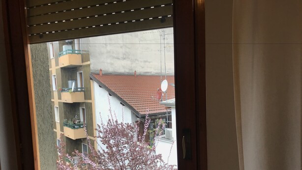 Una ventana con vistas a un edificio con balcones y un árbol con flores rosadas.