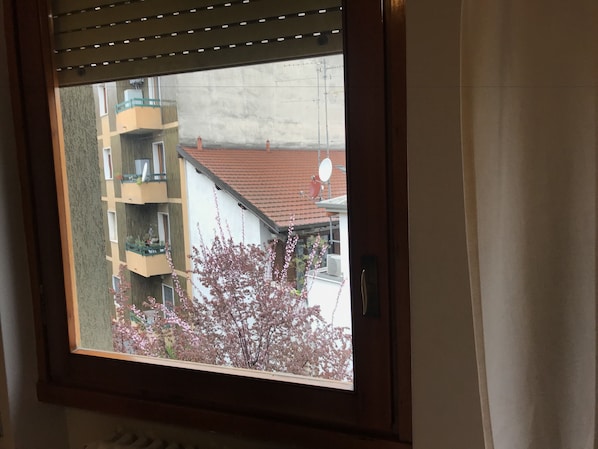 Vue depuis l’hébergement