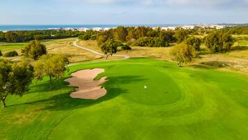 Enjoy a round of golf on our well-maintained fairway with scenic views of the surrounding trees and coastal town.