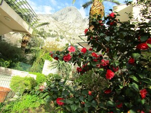 Garden - Apartments Palma (Kotor)