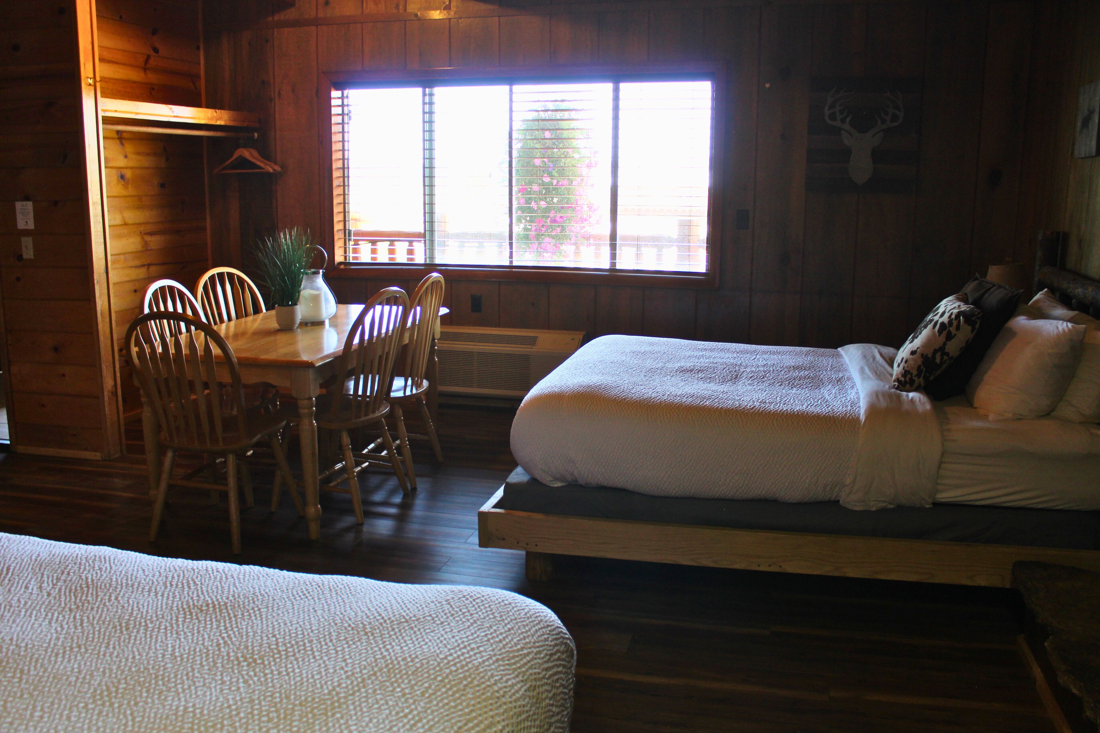 A cabin with two beds, a dining table with chairs, a potted plant, and a window with blinds.