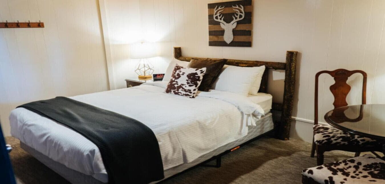 A neatly made bed with a white and black blanket, a wooden headboard, and a deer head artwork above it.