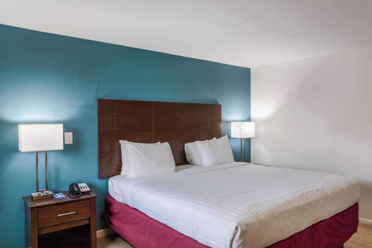 Standard Room, 1 King Bed, Non Smoking | Free WiFi, bed sheets