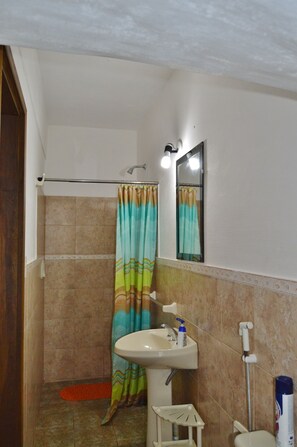A bathroom with a shower, a sink, a mirror, and a toilet.