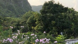 A view of a lush green landscape with a mountain in the background and a building with a corrugated metal roof in the foreground. - Scarlett Guesthouse Hotel Resorts (Bull Bay)