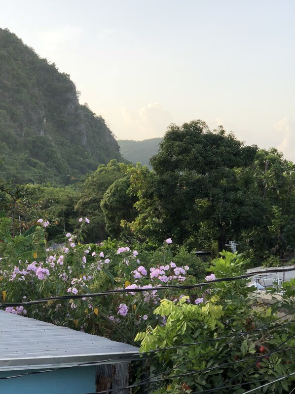 A view of a lush green landscape with a mountain in the background and a building with a corrugated metal roof in the foreground.